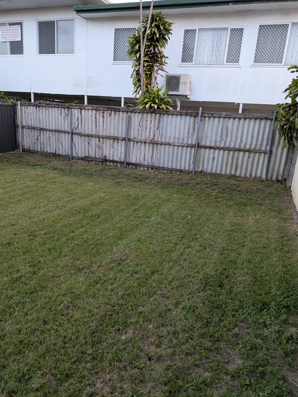 Backyard Lawn Rescue - after