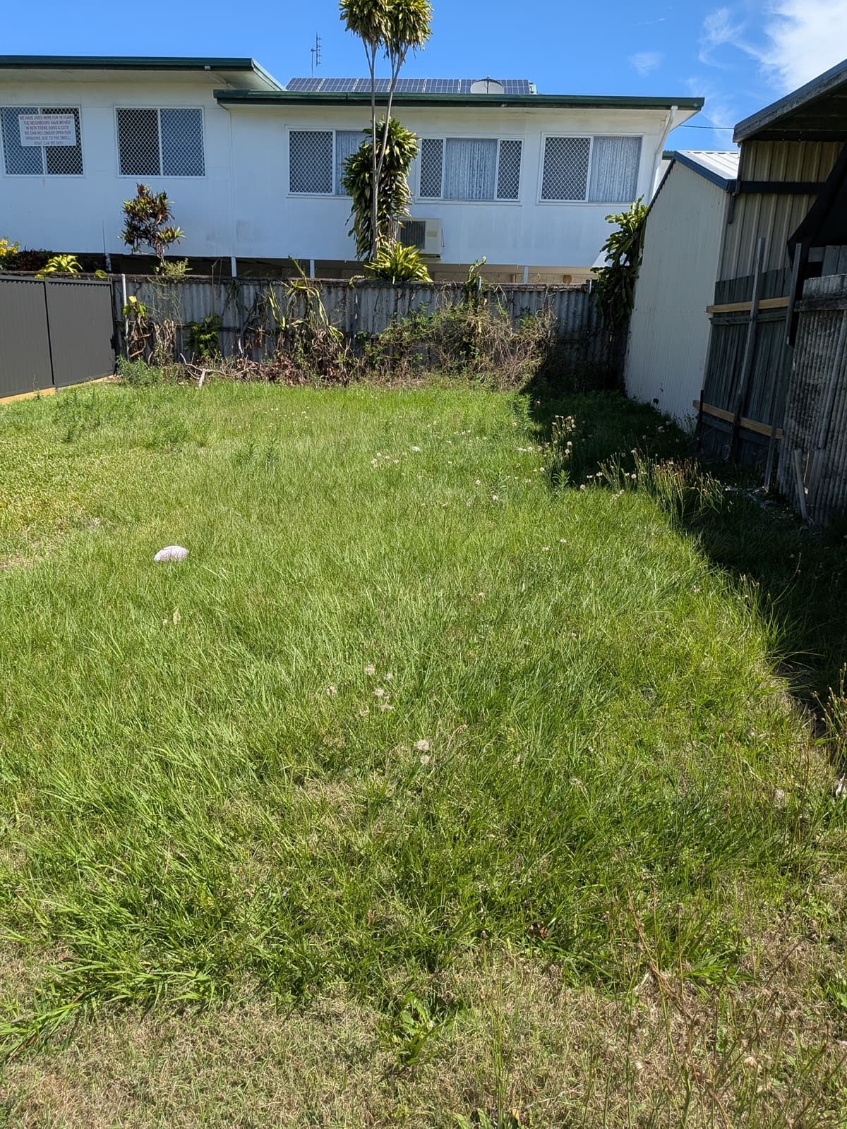 Backyard Lawn Rescue - before