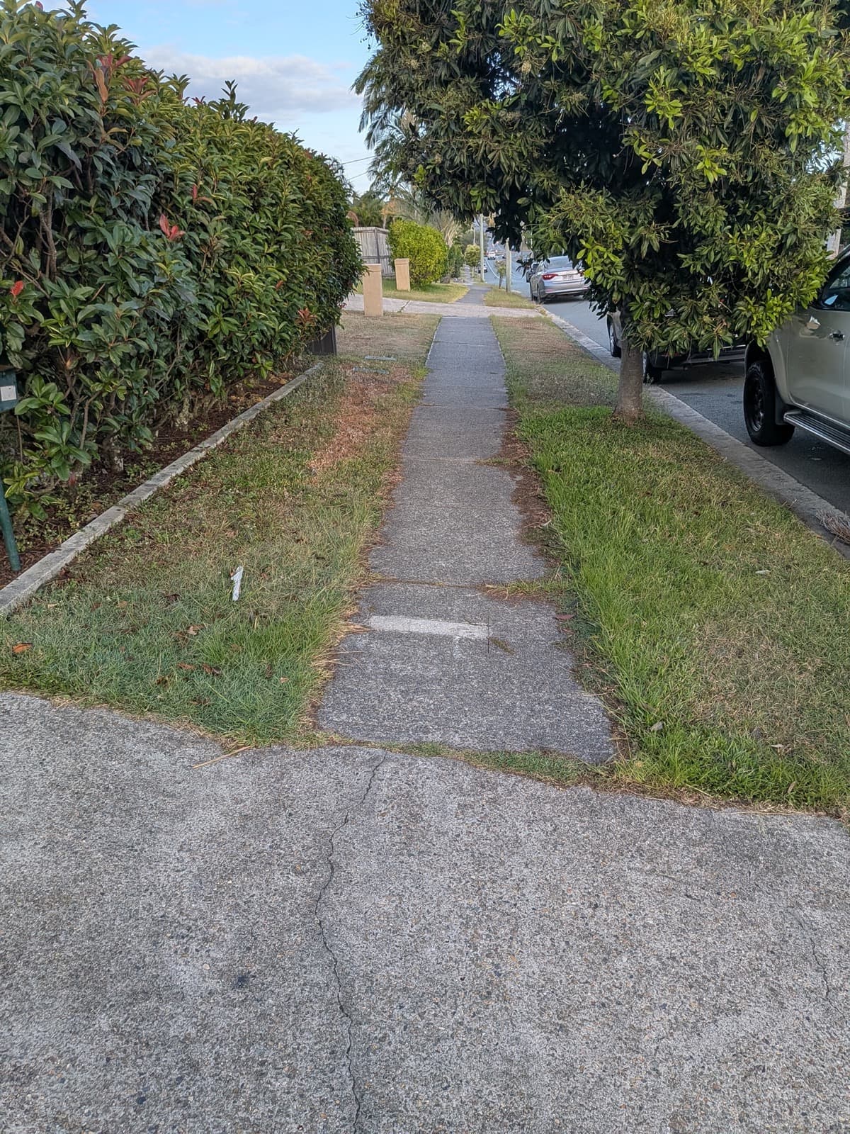 Footpath Edge Cleanup - before