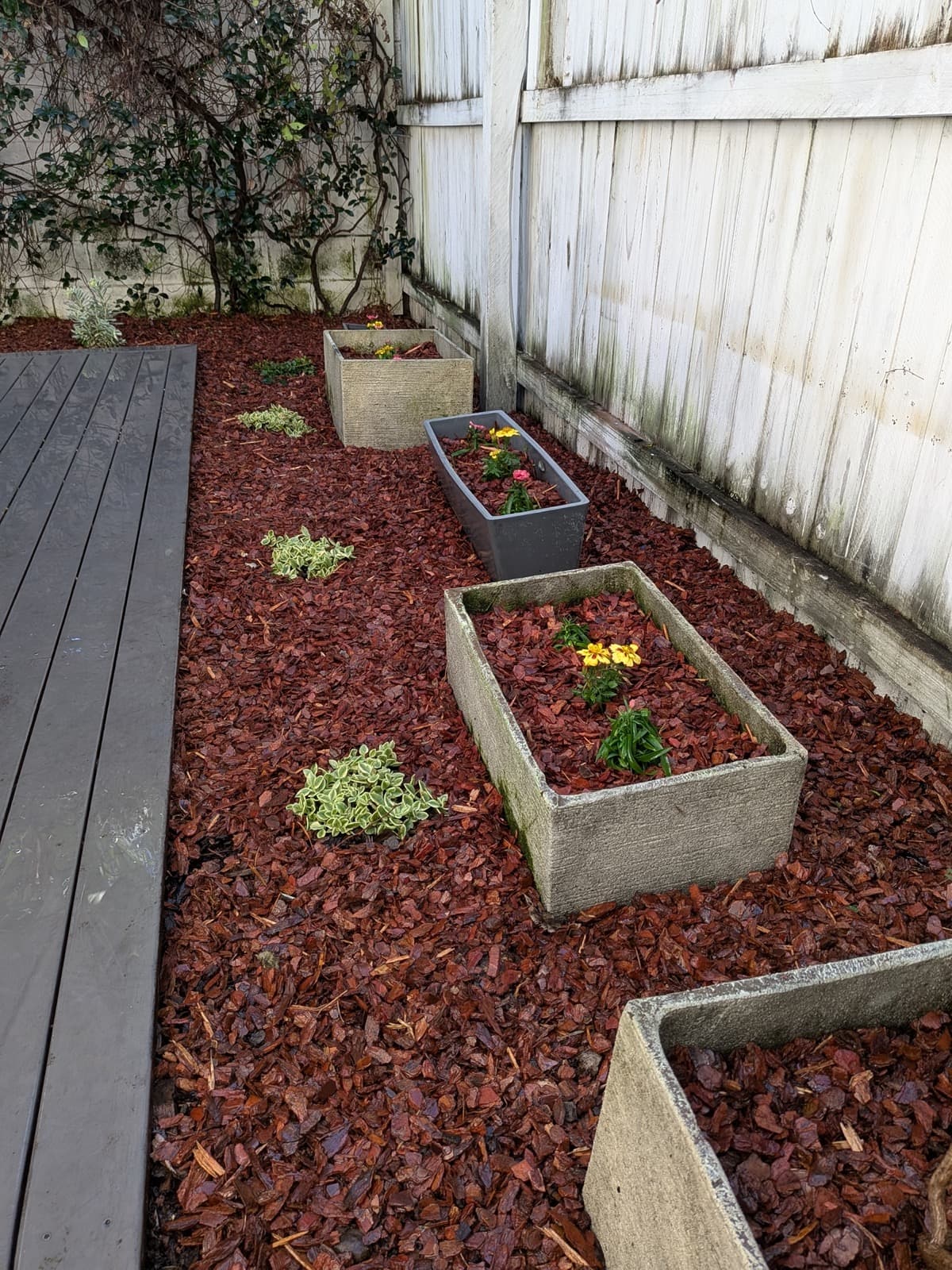 Softscaping & Mulch Beds