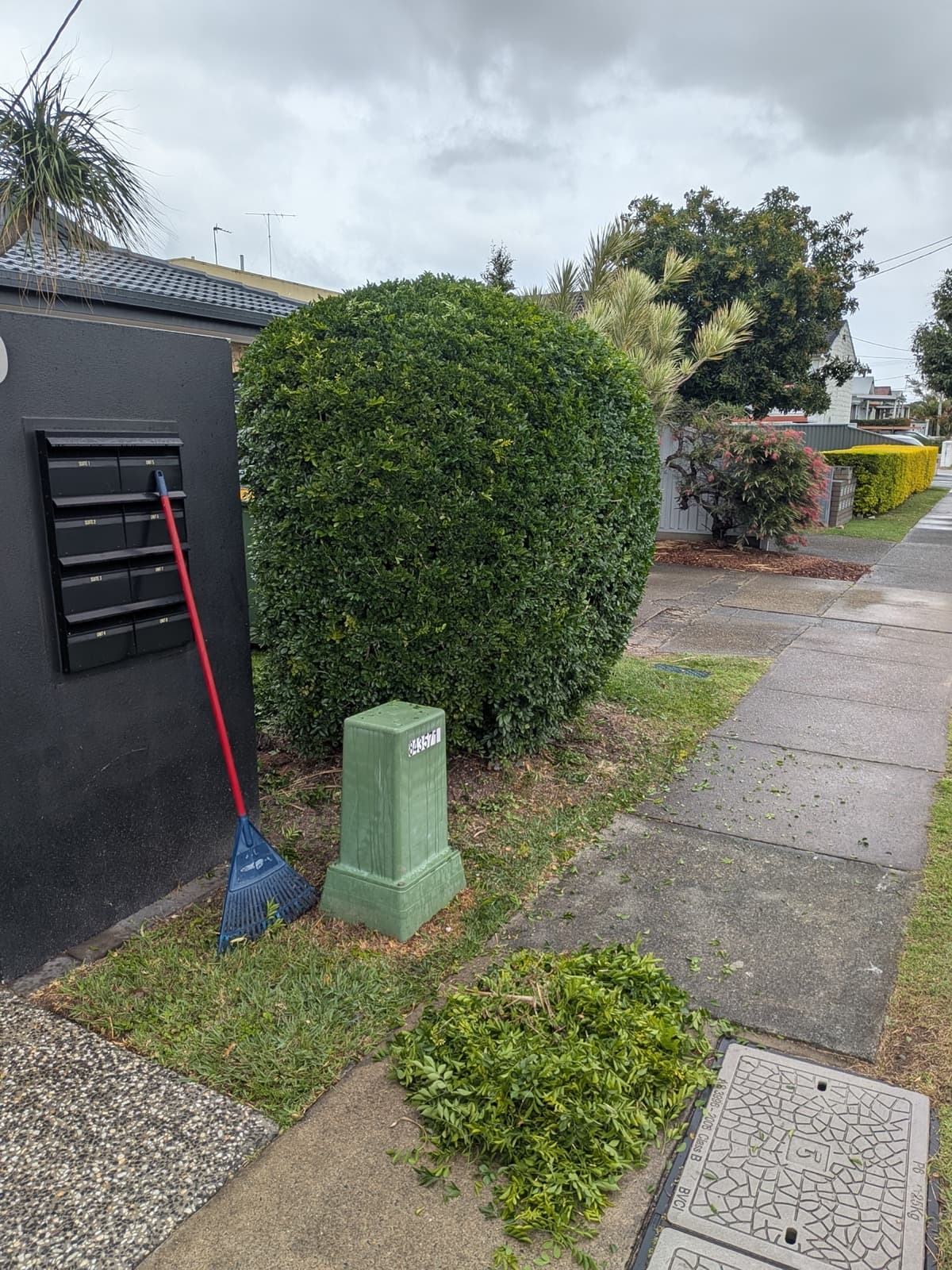 Hedge Trimming